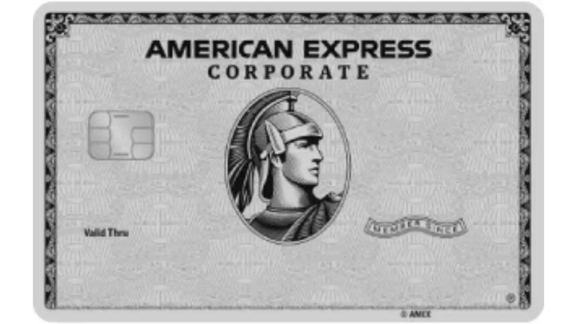 American Express Platinum Corporate Credit Card